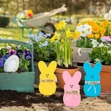 Farship 3Pcs Easter Sign Bunny Rabbit Wood Table Ornaments Set