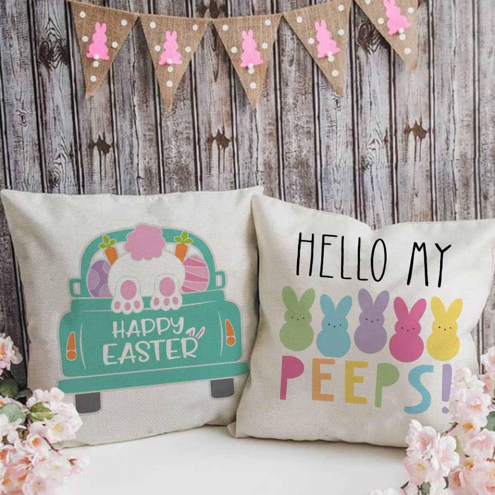 Farship Easter Pillow Covers 18x18" Set of 4